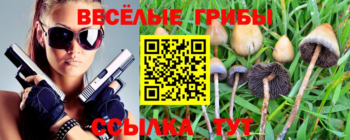 Галлюциногенные грибы мицелий Кумертау