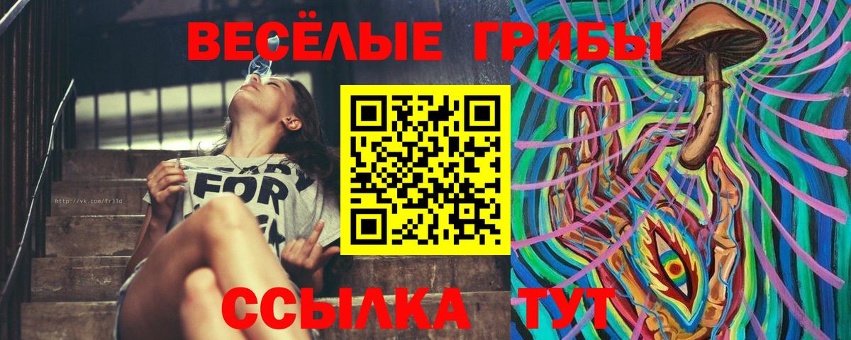 Галлюциногенные грибы GOLDEN TEACHER  Вход с VPN  Кумертау 